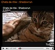 Chats de rôle : Shadowrun