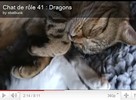 Chat de rle 41 : Dragons
